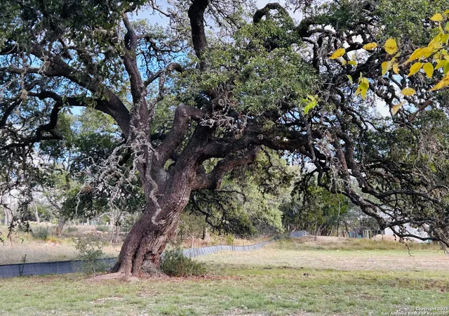 1st image of 24622 Cliff Line, San Antonio, TX 78257 | MLS# 1891560