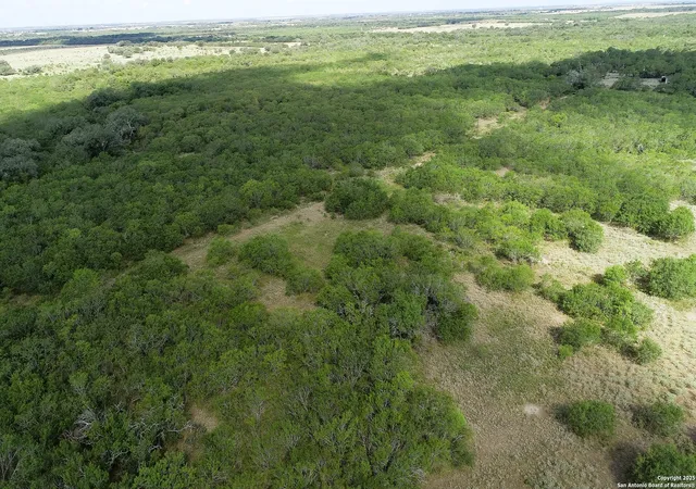 3rd image of Tbd Cr 252, Stockdale, TX 78160 | MLS# 1891803