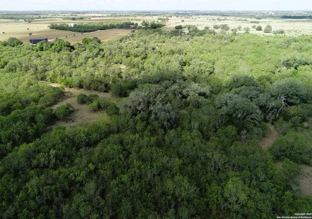 4th image of Tbd Cr 252, Stockdale, TX 78160 | MLS# 1891803