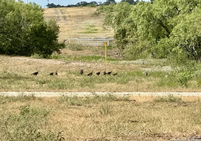 48th image of Tbd Cr 252, Stockdale, TX 78160 | MLS# 1891803