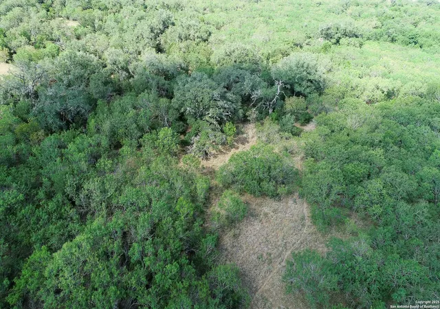 5th image of Tbd Cr 252, Stockdale, TX 78160 | MLS# 1891803