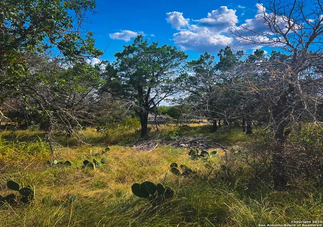 Photo 1 of Land for sale at 163 Angus Trail, Spring Branch, TX 78070 | MLS# 1892288 | Listing updated on 2025-11-04