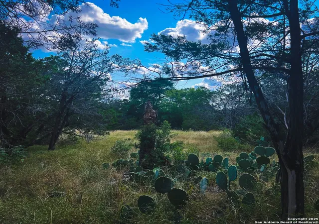 Photo 2 of Land for sale at 163 Angus Trail, Spring Branch, TX 78070 | MLS# 1892288 | Listing updated on 2025-11-04