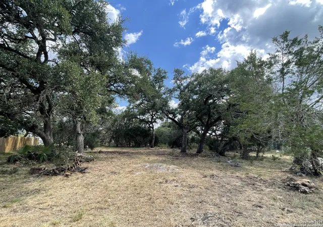 Photo 2 of Land for sale at 161 Sunnyside, Spring Branch, TX 78070 | MLS# 1892913 | Listing updated on 2026-06-27