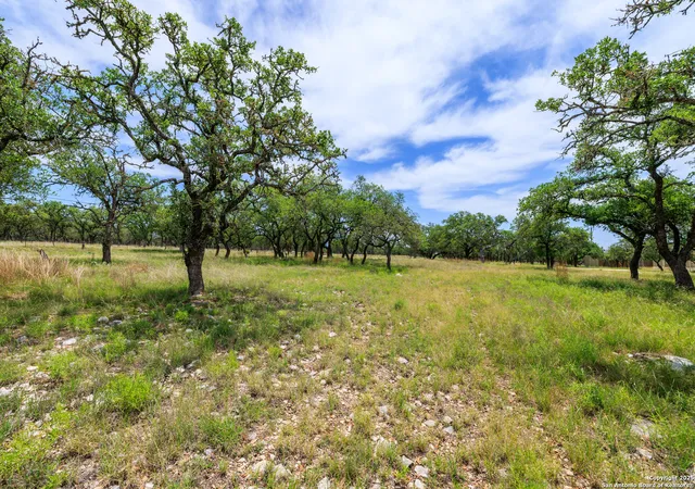 Photo 4 of Land for sale at 988 Kc 476, Harper, TX 78631 | MLS# 1893079 | Listing updated on 2025-08-26
