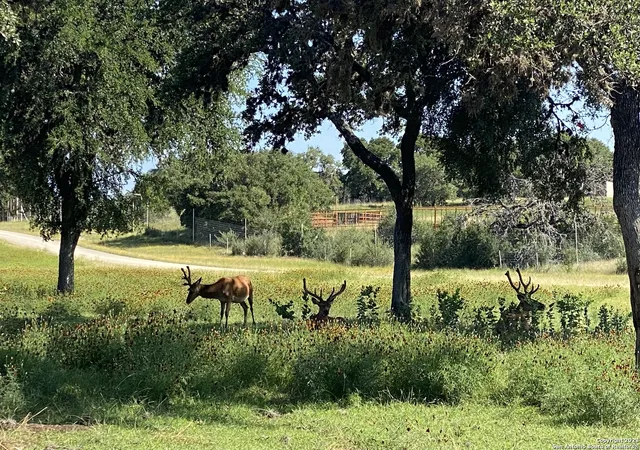 4th image of Lot 56 Red Stag Lane, Pipe Creek, TX 78063 | MLS# 1893405