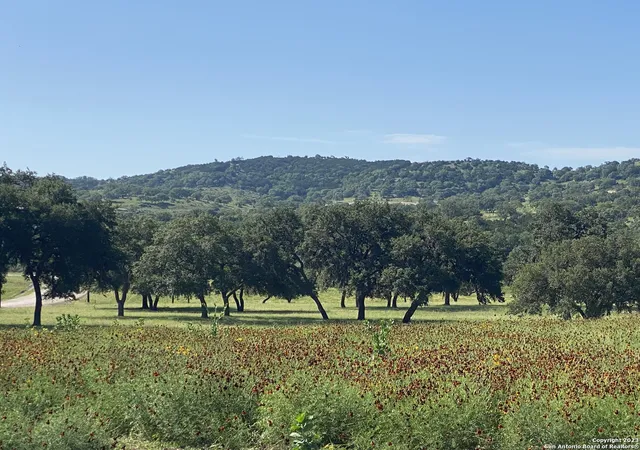 5th image of Lot 56 Red Stag Lane, Pipe Creek, TX 78063 | MLS# 1893405