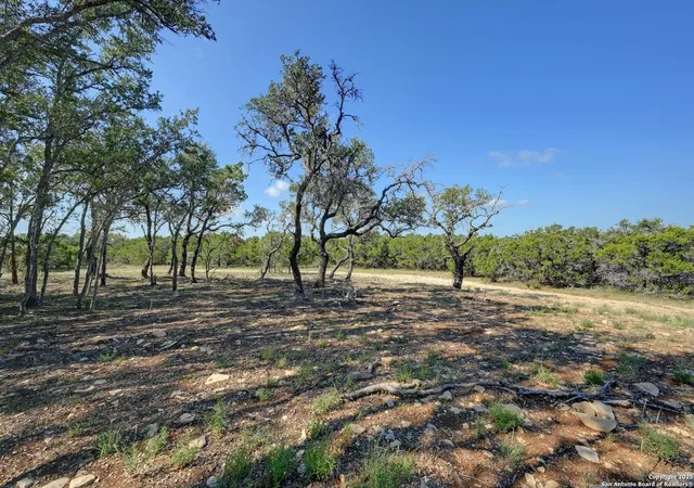 5th image of Tract 3 Pierson Road, Blanco, TX 78606 | MLS# 1893432
