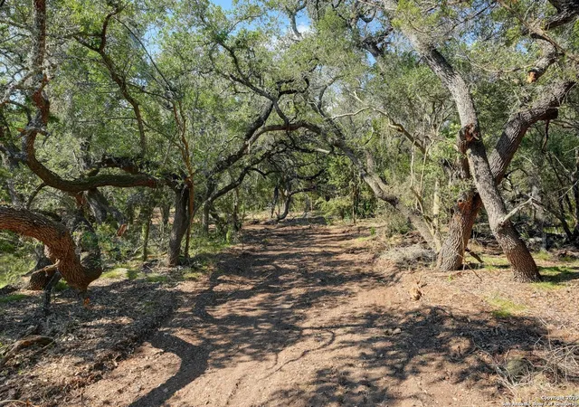 1st image of Tract 4 Pierson Road, Blanco, TX 78606 | MLS# 1893434