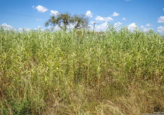 Photo 47 of Land for sale at 000 County Road 647, Mathis, TX 78368 | MLS# 1893486 | Listing updated on 2025-09-05