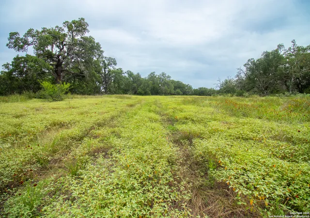Photo 2 of Sale Pending at 000 Wise Oak Acres, Spring Branch, TX 78070 | MLS# 1893734 | Listing updated on 2025-08-19