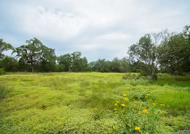 Photo 3 of Sale Pending at 000 Wise Oak Acres, Spring Branch, TX 78070 | MLS# 1893734 | Listing updated on 2025-08-19