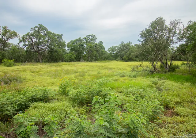 Photo 3 of Sale Pending at 000 Wise Oak Acres, Spring Branch, TX 78070 | MLS# 1893734 | Listing updated on 2025-08-19