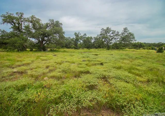 Photo 1 of Sale Pending at 000 Short Draw Ranch, Spring Branch, TX 78070 | MLS# 1893742 | Listing updated on 2025-08-19