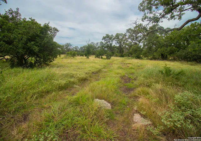 Photo 3 of Sale Pending at 000 Short Draw Ranch, Spring Branch, TX 78070 | MLS# 1893742 | Listing updated on 2025-08-19
