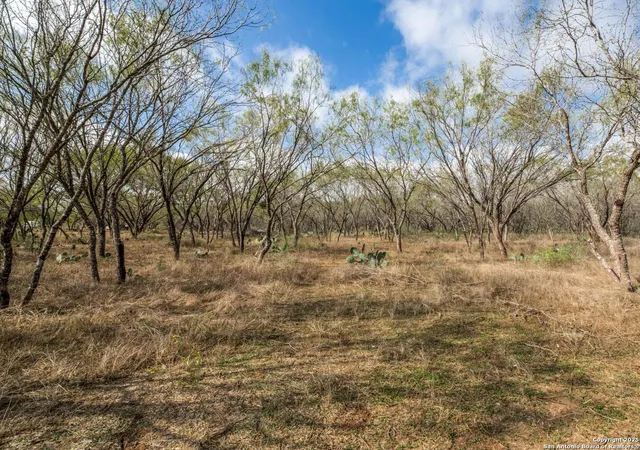 Photo 1 of Land for sale at 13993 Jarratt Rd, Atascosa, TX 78002 | MLS# 1894322 | Listing updated on 2026-02-20