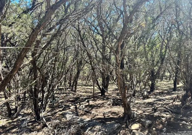 Photo 4 of Sale Pending at 277 Gallagher, Canyon Lake, TX 78133 | MLS# 1894504 | Listing updated on 2026-04-06