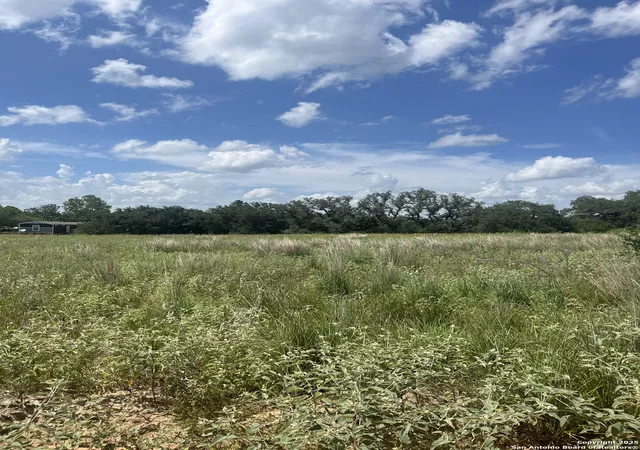5th image of Lot 14 10392 Fm 476, Poteet, TX 78065 | MLS# 1895094