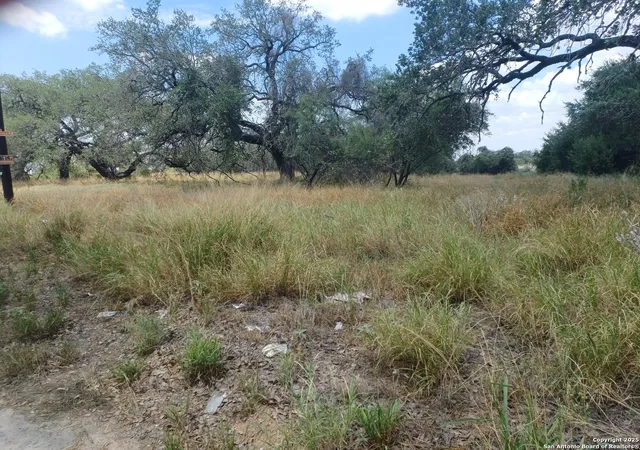 Photo 3 of Land for sale at 000 Sh 16 & Ditto Rd, Poteet, TX 78065 | MLS# 1895192 | Listing updated on 2025-11-02