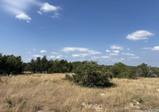 Photo 3 of Sale Pending at 1117 Vintage Way, New Braunfels, TX 78132 | MLS# 1895311 | Listing updated on 2025-09-09