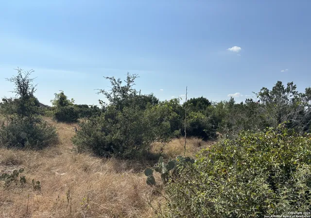 Photo 4 of Sale Pending at 1117 Vintage Way, New Braunfels, TX 78132 | MLS# 1895311 | Listing updated on 2025-09-09