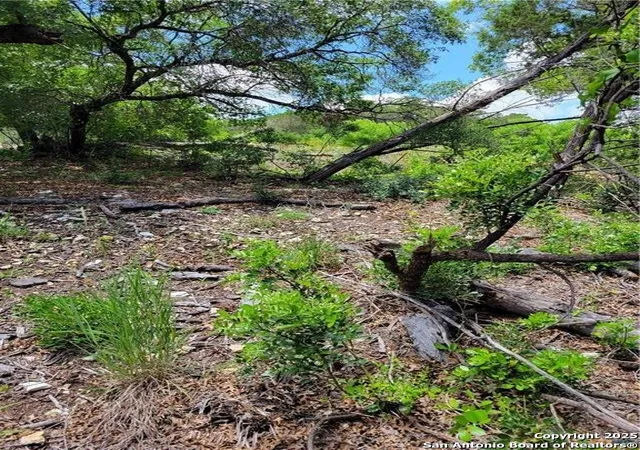 Photo 3 of Land for sale at 1745 Tbd Private Road, Mico, TX 78056 | MLS# 1895467 | Listing updated on 2025-11-23