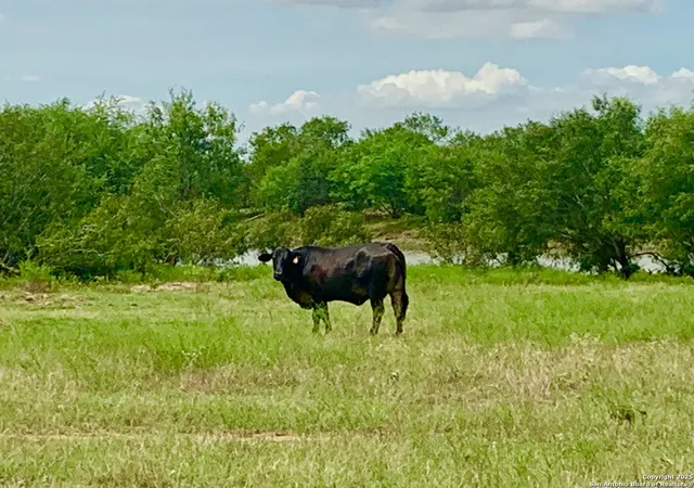Photo 4 of Sale Pending at 2333 Ac Tbd Kotara Ln/cr 257, Floresville, TX 78114 | MLS# 1895633 | Listing updated on 2025-11-14