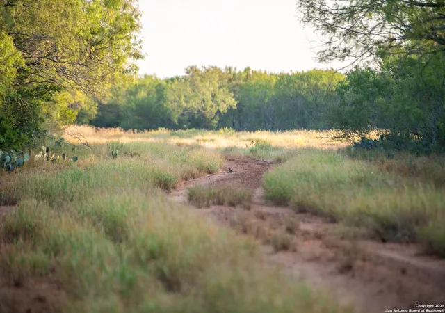 4th image of 000 E Hwy 16, Jourdanton, TX 78026 | MLS# 1895982