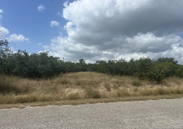 1st image of 112 Riley Wood, Blanco, TX 78606 | MLS# 1896208