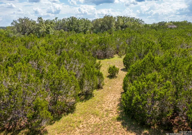 3rd image of 1421 Cr 281, Leander, TX 78641 | MLS# 1896530