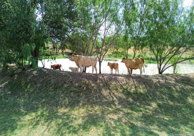 Photo 3 of Land for sale at 16587 S Loop 1604 W, Von Ormy, TX 78073 | MLS# 1896558 | Listing updated on 2026-01-16