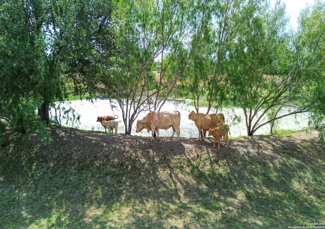 Photo 3 of Land for sale at 16587 S Loop 1604 W, Von Ormy, TX 78073 | MLS# 1896558 | Listing updated on 2026-01-16