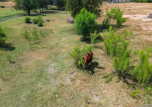 Photo 4 of Land for sale at 16587 S Loop 1604 W, Von Ormy, TX 78073 | MLS# 1896558 | Listing updated on 2026-01-16