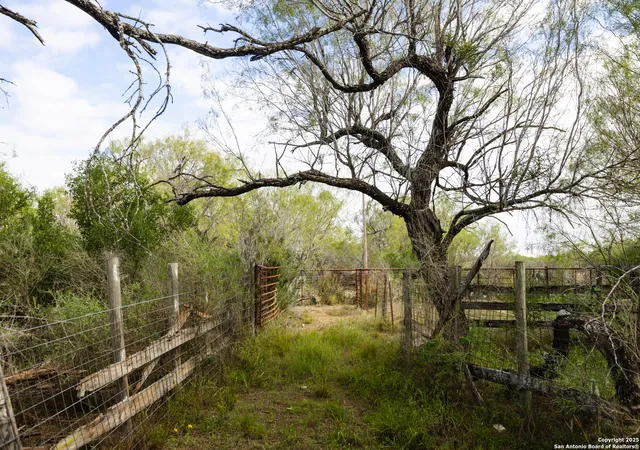 Photo 2 of Land for sale at 7 Fm 1581, Pearsall, TX 78061 | MLS# 1896767 | Listing updated on 2025-09-09