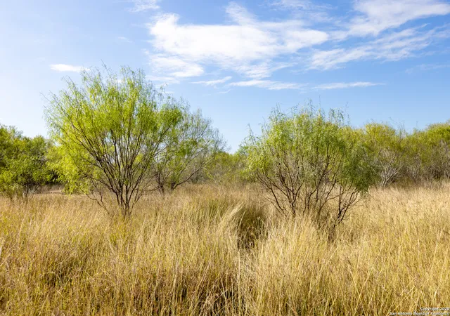 Photo 3 of Land for sale at 7 Fm 1581, Pearsall, TX 78061 | MLS# 1896767 | Listing updated on 2025-09-09