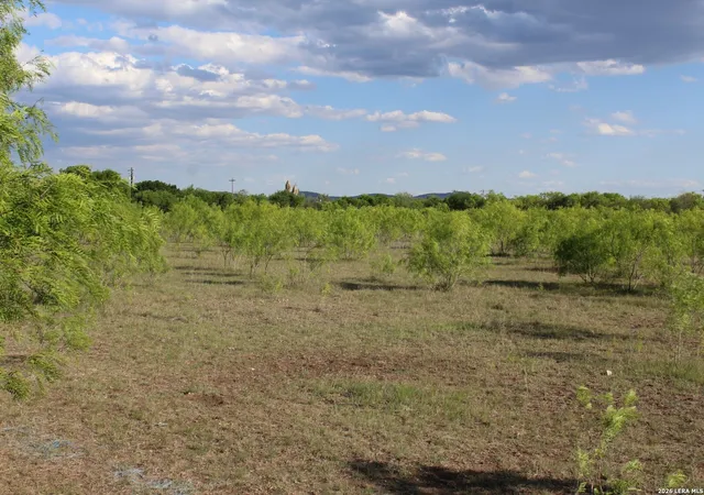 Homes for sale in Utopia, TX | 245 County Road 356, Utopia, TX 78884 | MLS# 1897482