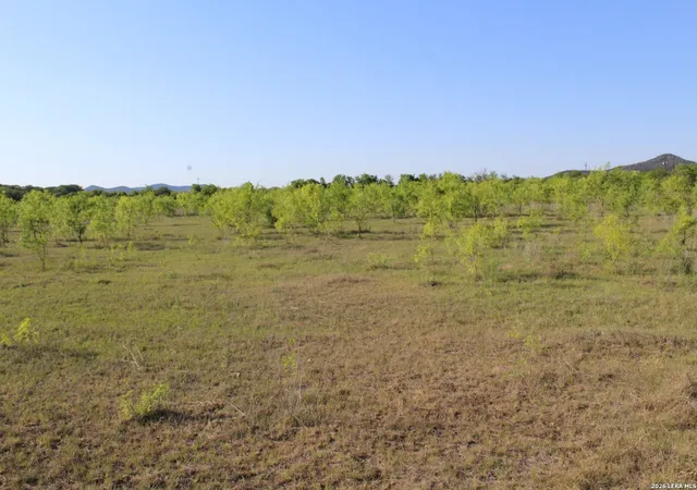 Homes for sale in Utopia, TX | 245 County Road 356, Utopia, TX 78884 | MLS# 1897482