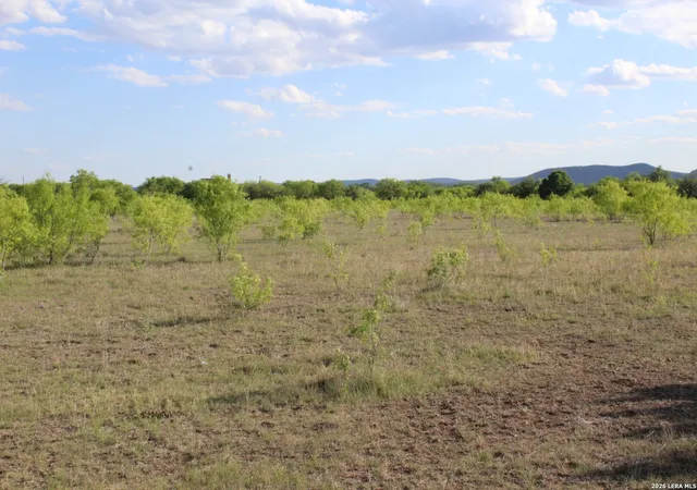 Homes for sale in Utopia, TX | 245 County Road 356, Utopia, TX 78884 | MLS# 1897482