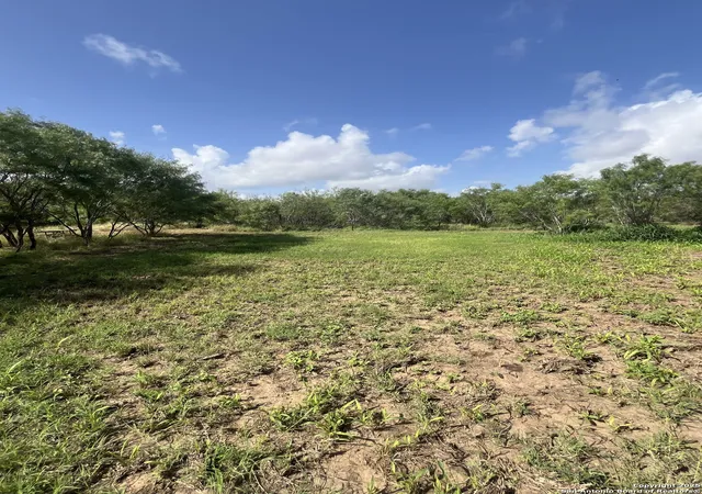 Photo 4 of Land for sale at 707 Deer Trail, Jourdanton, TX 78026 | MLS# 1897788 | Listing updated on 2026-07-02