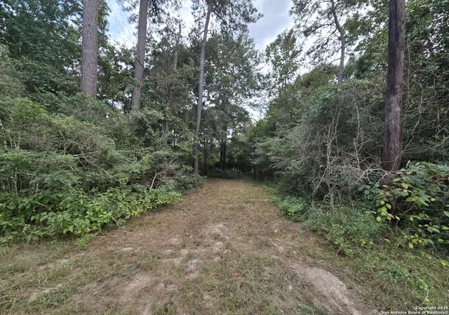 2nd image of 4325 Honea Egypt, Montgomery, TX 77316 | MLS# 1897840