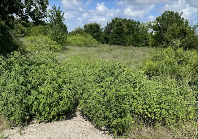 5th image of 7931 Fm 1952, Wallis, TX 77485 | MLS# 1898146
