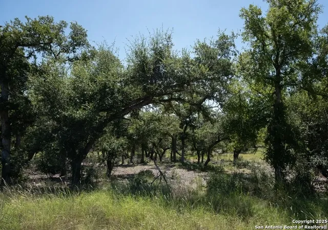 Photo 4 of Sale Pending at 1025 Earle Oak, Bulverde, TX 78163 | MLS# 1898540 | Listing updated on 2026-02-11
