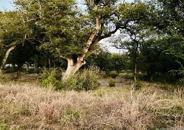 Photo 1 of Sale Pending at 1025 Earle Oak, Bulverde, TX 78163 | MLS# 1898540 | Listing updated on 2026-02-11