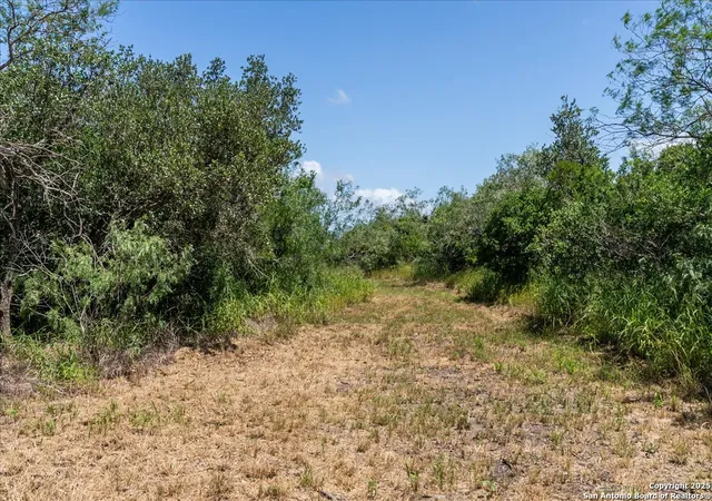 Homes for sale in Skidmore, TX | 000 Off Hwy 181 S, Skidmore, TX 78389 | MLS# 1898610