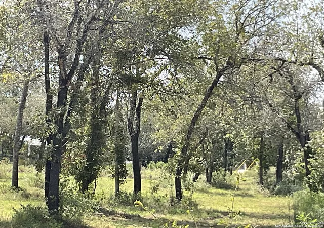 Photo 3 of Land for sale at 0000 W County Road 6871, Natalia, TX 78059 | MLS# 1898841 | Listing updated on 2026-01-21