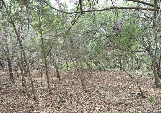 Photo 1 of Sale Pending at 1043 Eastview Dr, Canyon Lake, TX 78133 | MLS# 1898994 | Listing updated on 2025-09-09