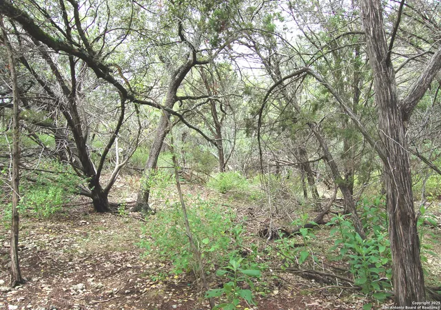 Photo 3 of Sale Pending at 1043 Eastview Dr, Canyon Lake, TX 78133 | MLS# 1898994 | Listing updated on 2025-09-09