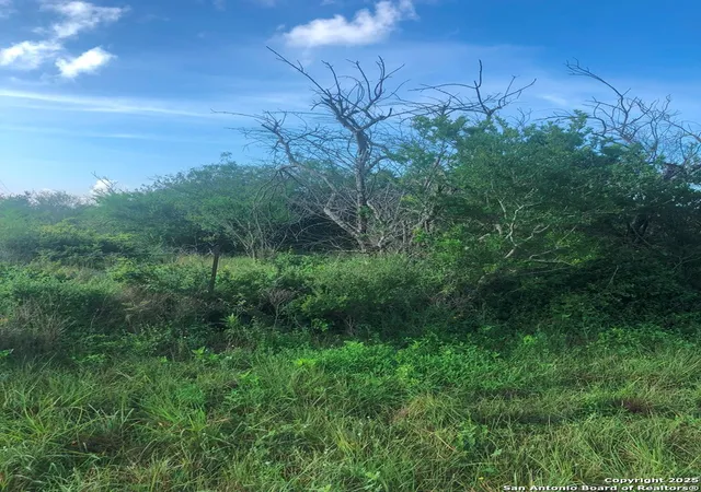 Photo 3 of Sale Pending at Tbd Anaqua, Beeville, TX 78102 | MLS# 1903711 | Listing updated on 2026-01-09