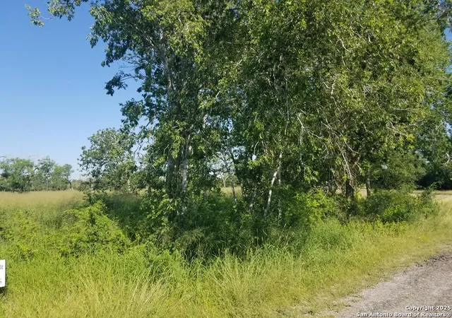 2nd image of 00 W Fm 673, Beeville, TX 78102 | MLS# 1904229