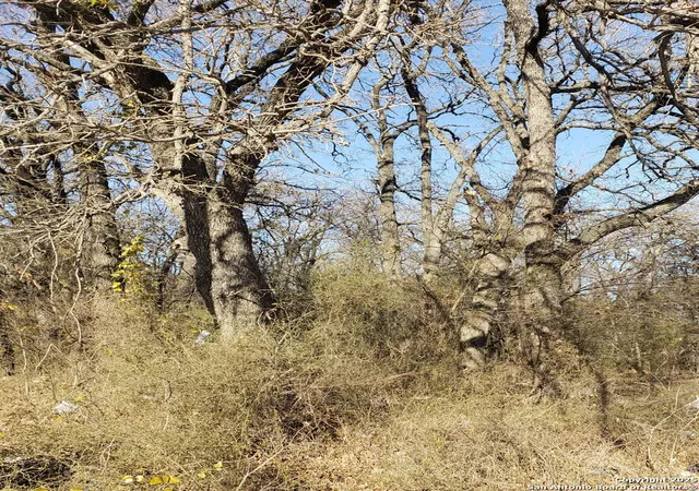 3rd image of 11929 Brookvalley, Balch Springs, TX 75180 | MLS# 1907691